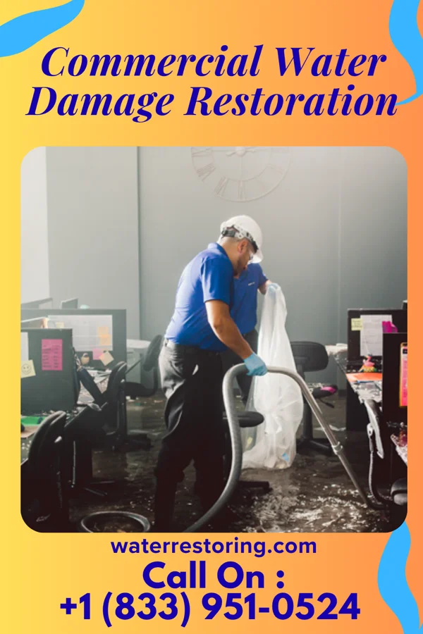 Commercial Water Damage Restoration in Bisbee, ND