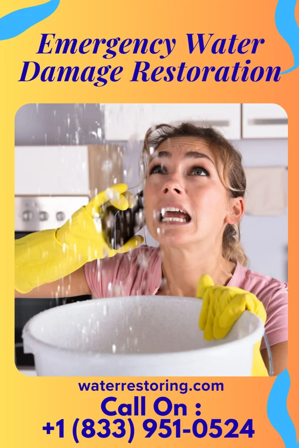Emergency Water Damage Restoration in Bisbee, ND